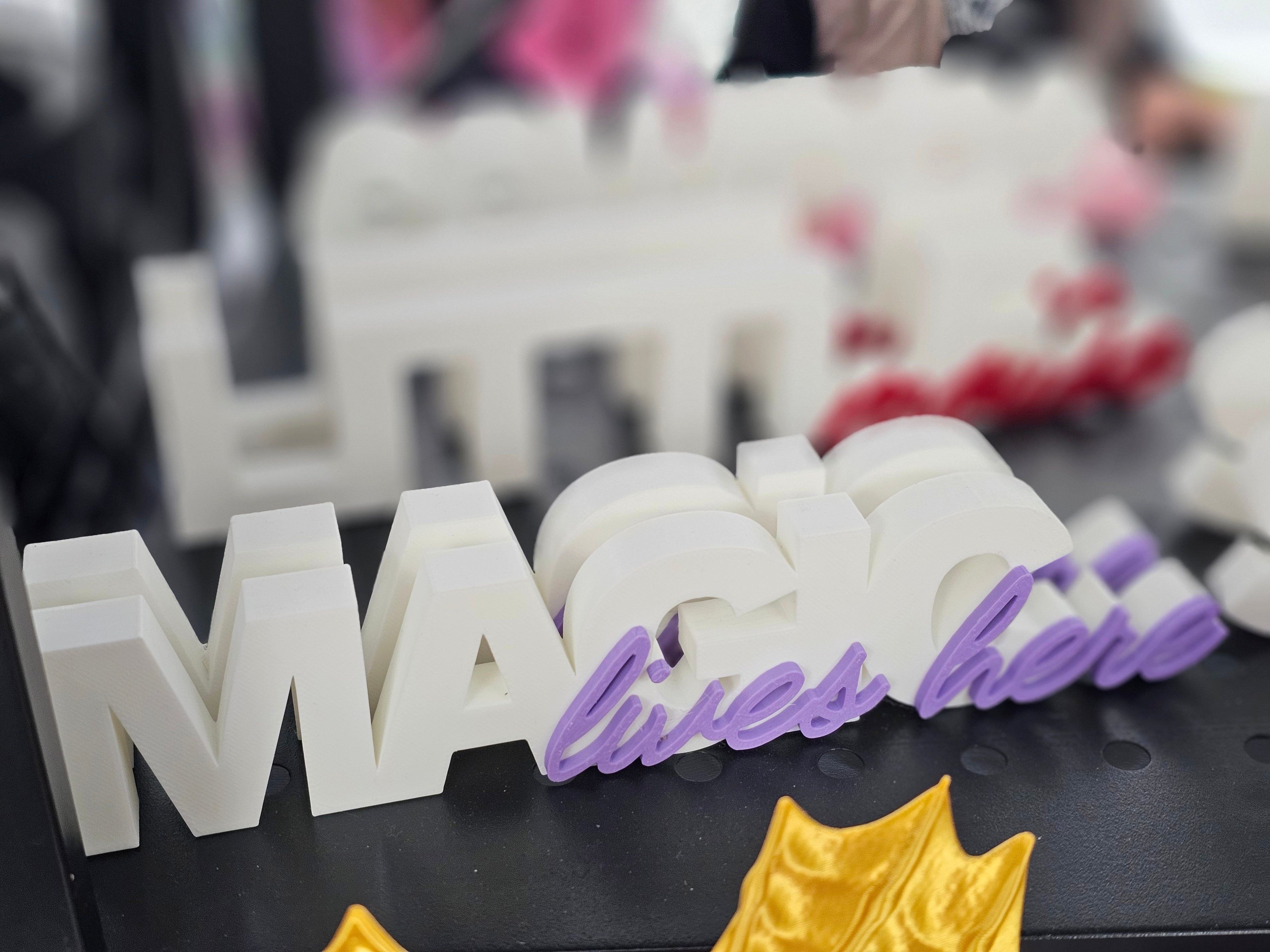 3D Printed Bookshelf Words | Decorative Book Lover Signs for Shelf Decor