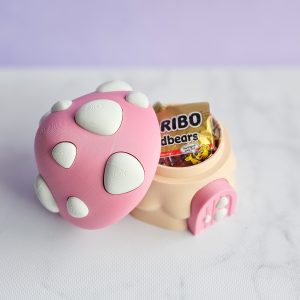 Mushroom House (With Hidden Compartment)